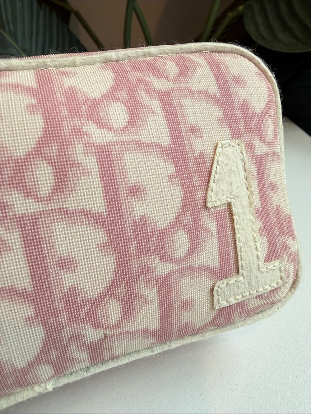 Christian Dior ‘Trotter No. 1 Coated Canvas Pouch’ - Picture 9 of 9
